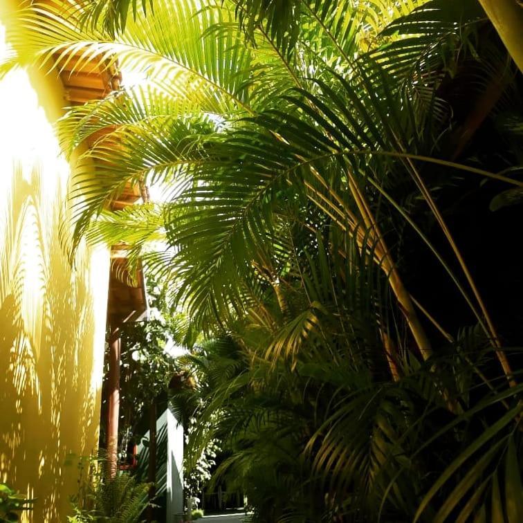 Pousada Corais Do Sul Caraiva Luaran gambar